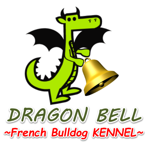 DRAGON BELL KENNEL